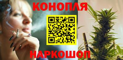 Альфа ПВП Новозыбков