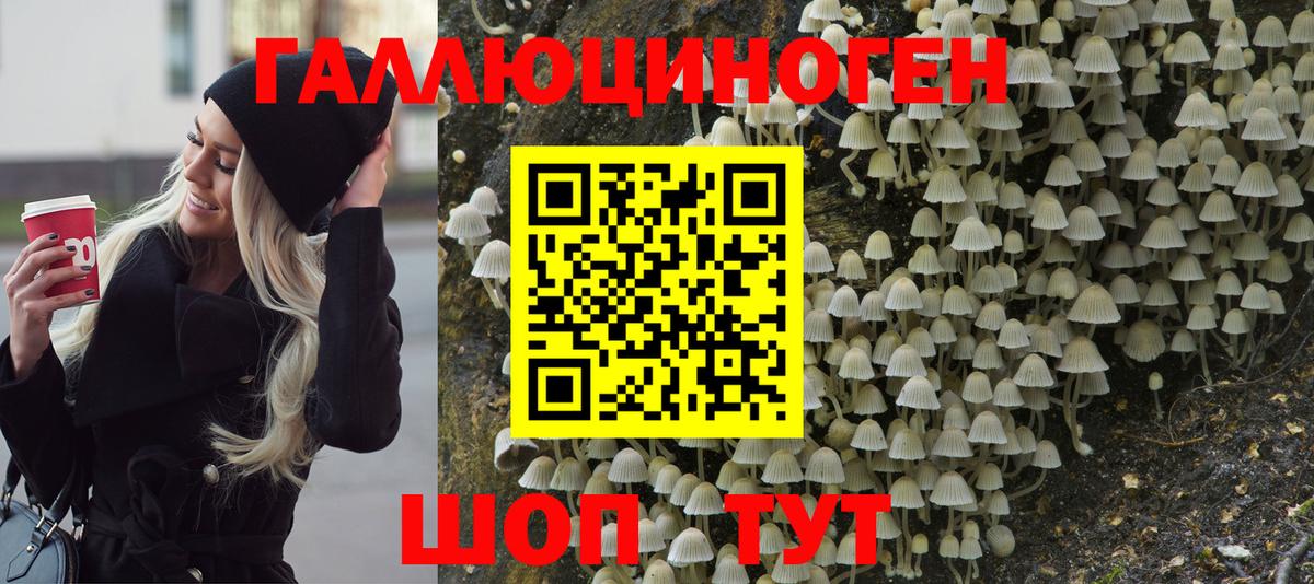 Ржев  Галлюциногенные грибы Psilocybine cubensis  Вход с VPN  Псилоцибиновые грибы мицелий 