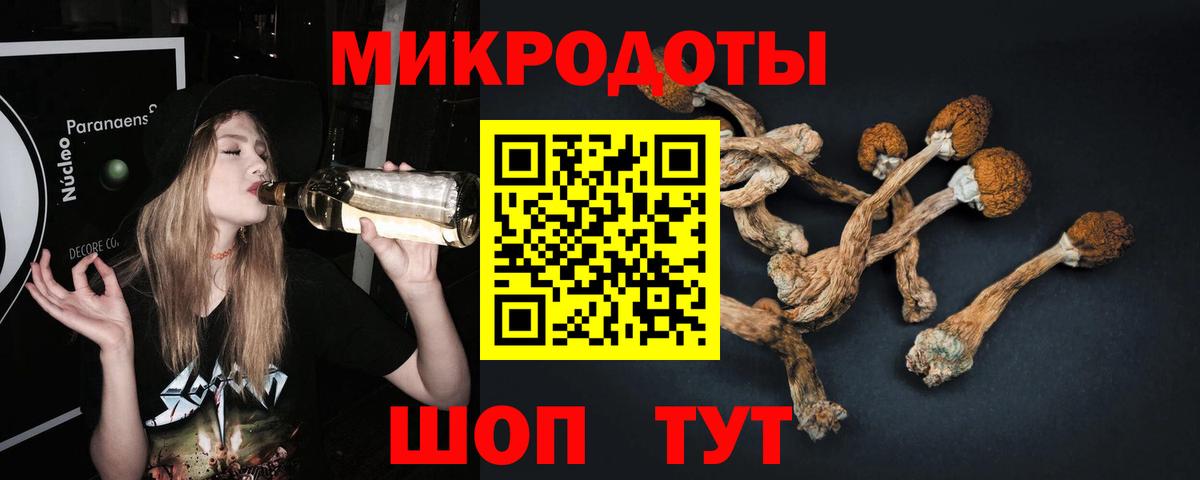 Галлюциногенные грибы ЛСД Ржев